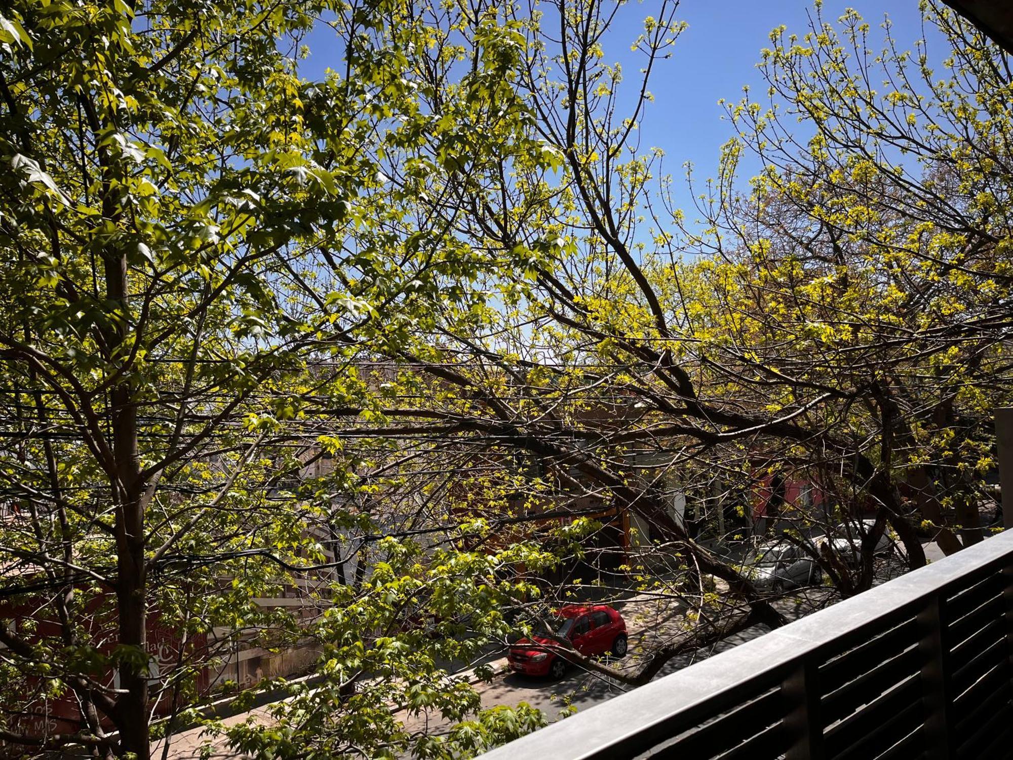 Primavera Suites - Buenos Aires — Fotos 1